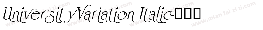 UniversityVariation Italic字体转换